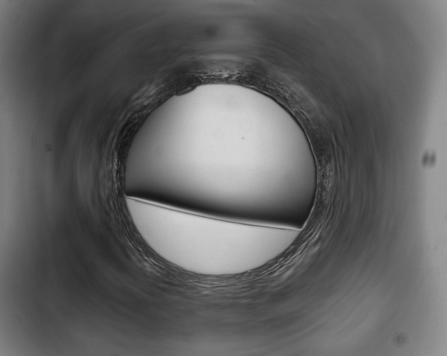 X0000103221394200808280915