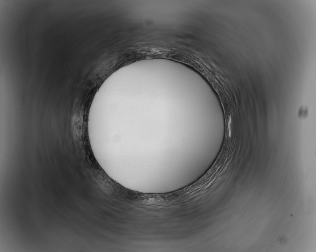 X0000103221395200808280915