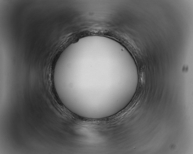 X0000103221396200808280915