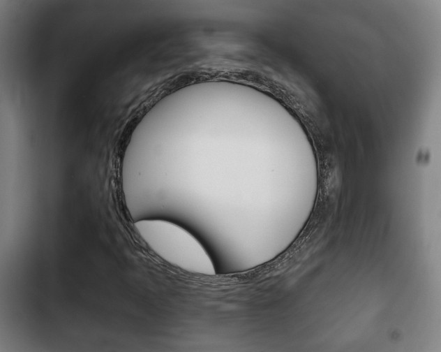 X0000103221397200808280915