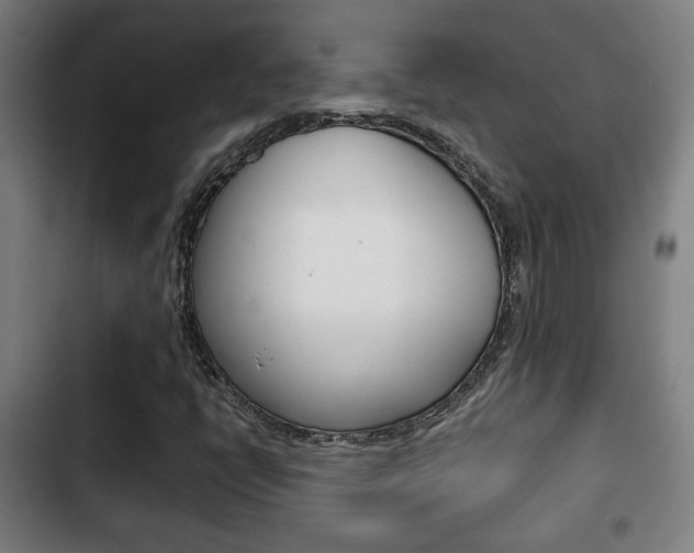 X0000103221398200808280915
