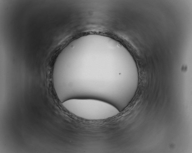 X0000103221399200808280915