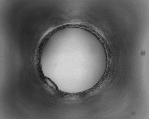X0000103221400200808280915