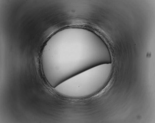 X0000103221401200808280915