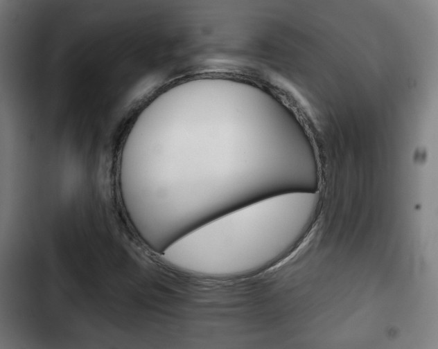 X0000103221403200808280915
