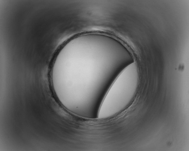 X0000103221404200808280915