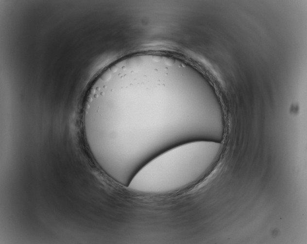 X0000103221405200808280915