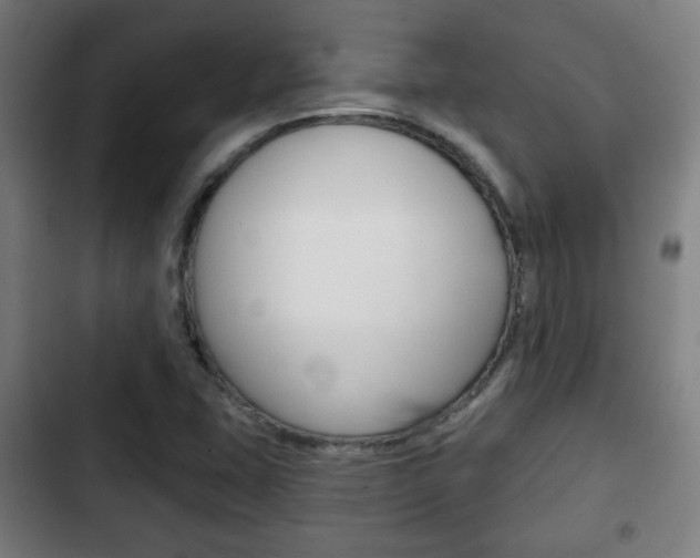 X0000103221407200808280915