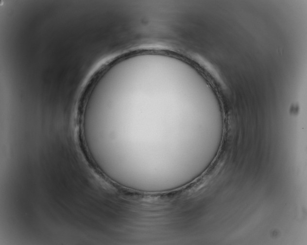 X0000103221408200808280915