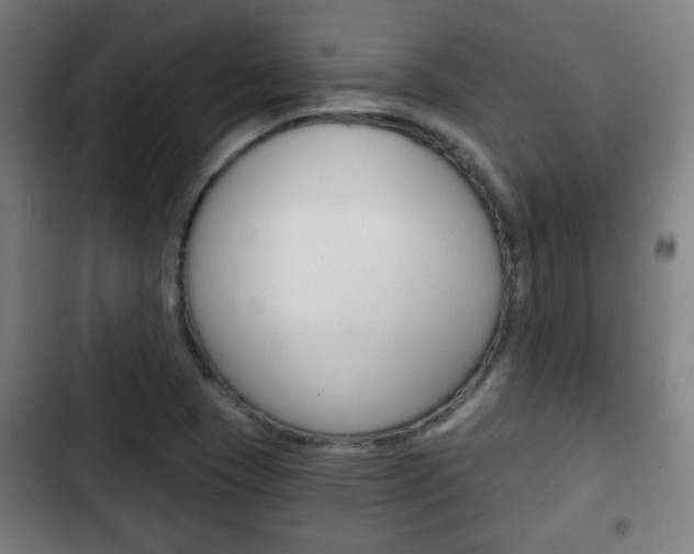X0000103221409200808280915