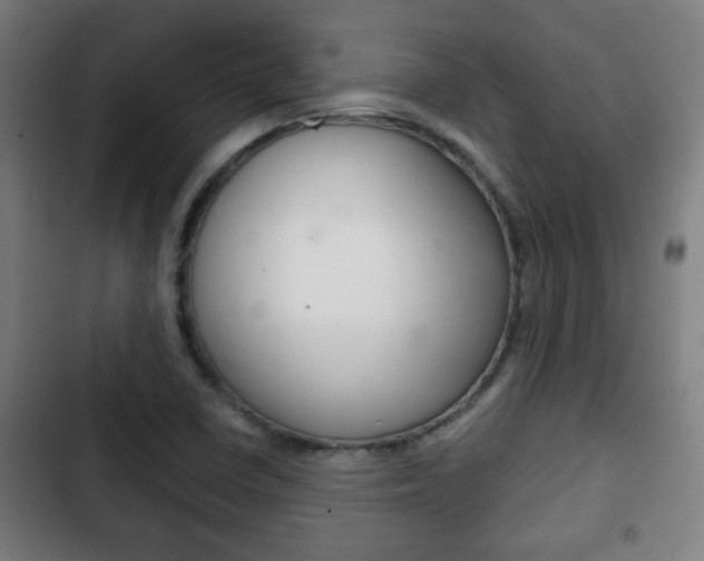 X0000103221410200808280915
