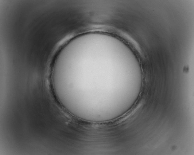 X0000103221411200808280915