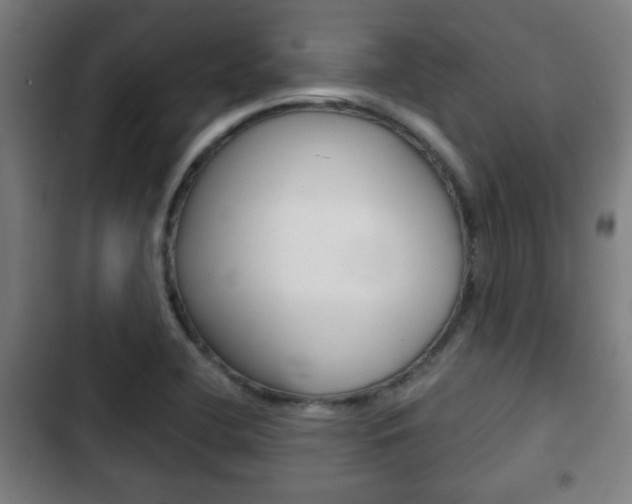 X0000103221412200808280915