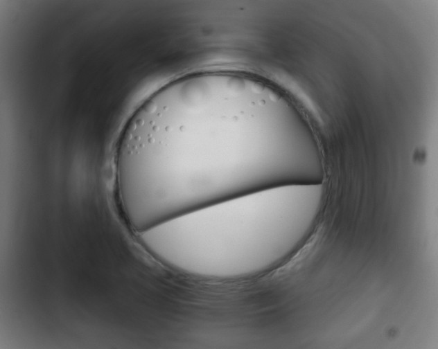 X0000103221413200808280915