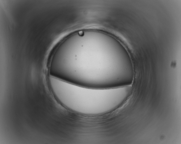 X0000103221414200808280915