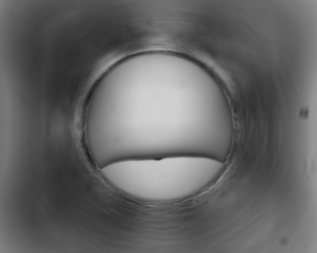 X0000103221415200808280915