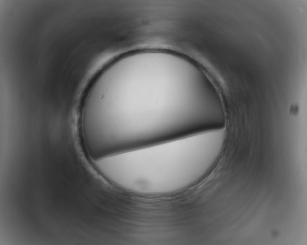 X0000103221416200808280915