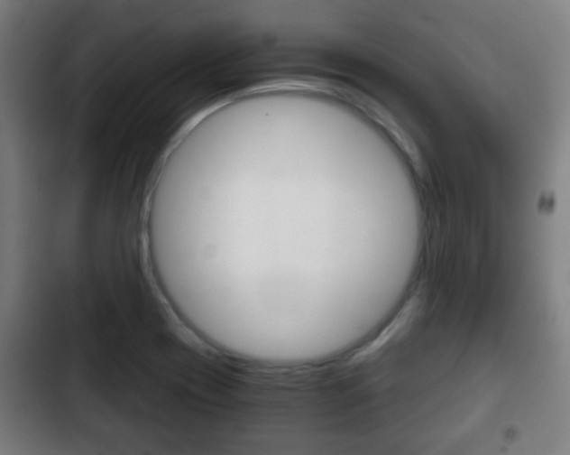 X0000103221417200808280915