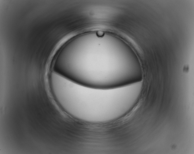 X0000103221418200808280915