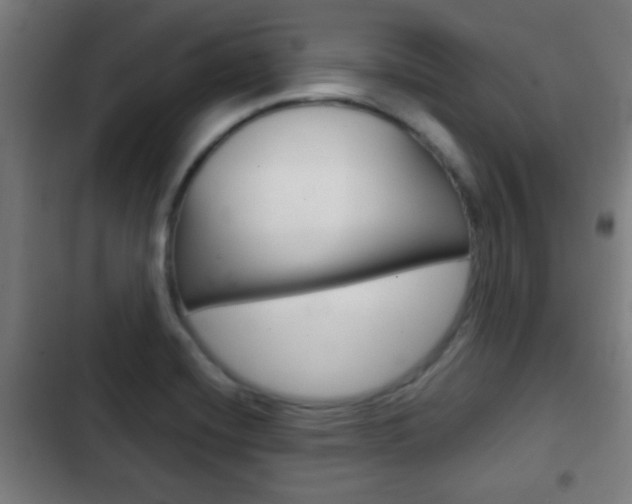 X0000103221420200808280915