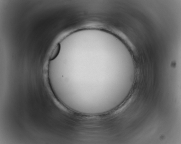 X0000103221421200808280915