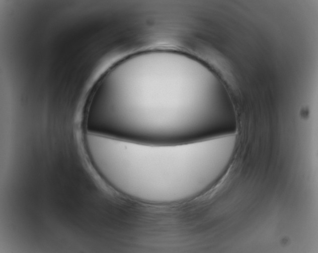 X0000103221422200808280915