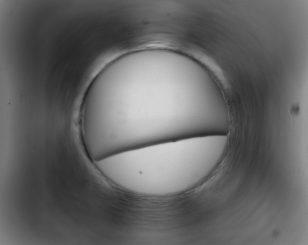 X0000103221423200808280915