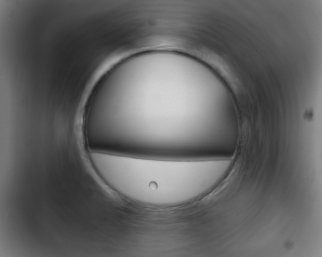 X0000103221424200808280915