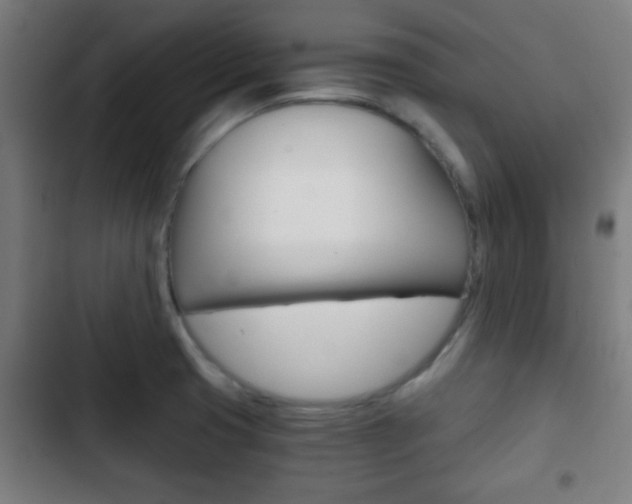 X0000103221425200808280915
