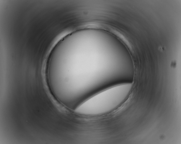X0000103221426200808280915