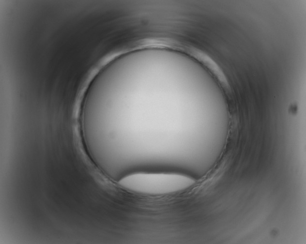 X0000103221427200808280915