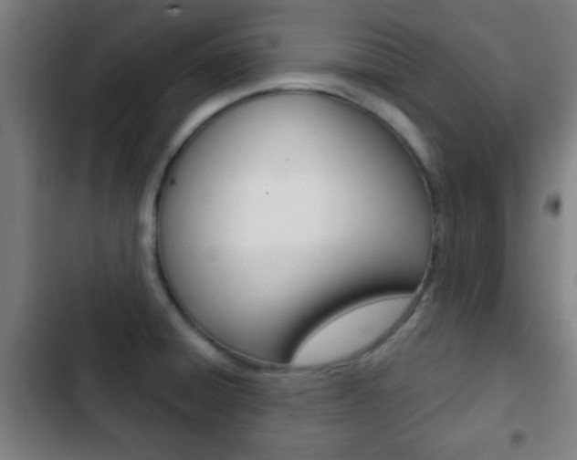 X0000103221428200808280915