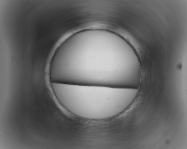 X0000103221429200808280915