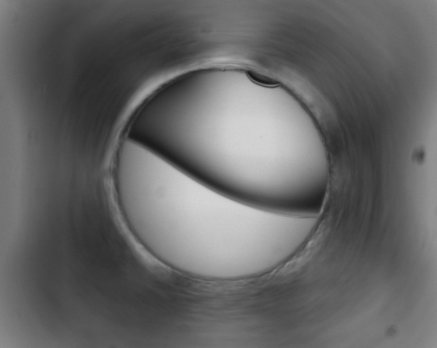 X0000103221430200808280915