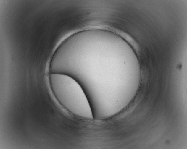 X0000103221431200808280916