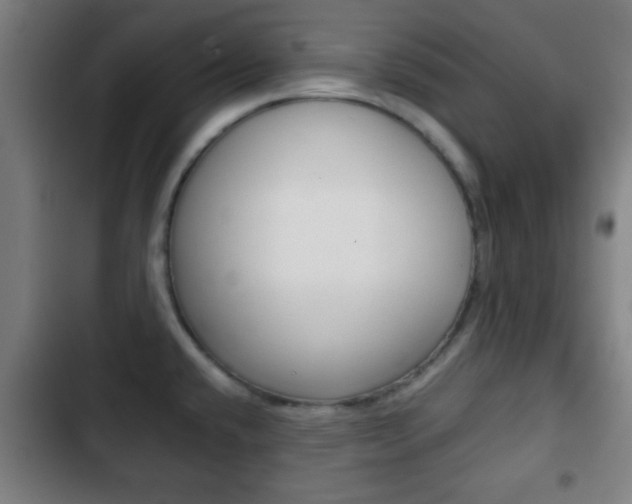 X0000103221432200808280916