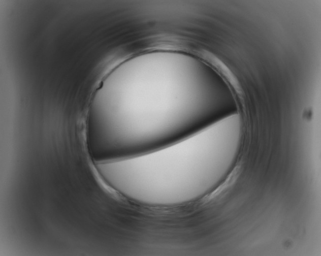 X0000103221433200808280916