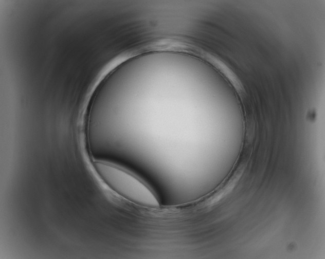 X0000103221434200808280916