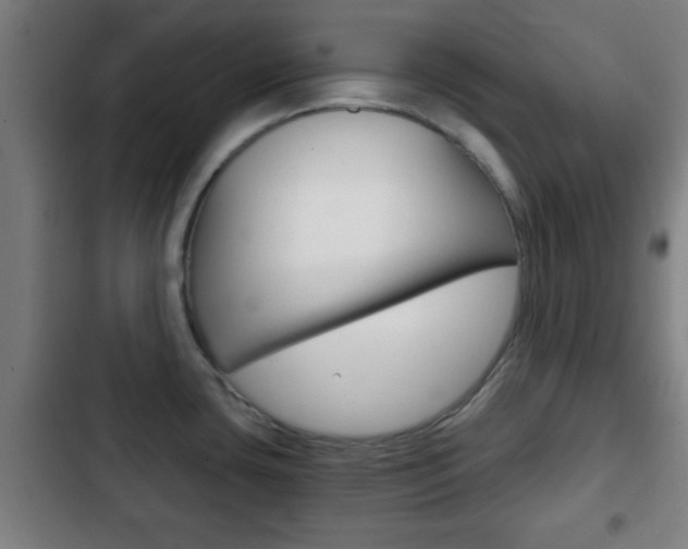 X0000103221435200808280916