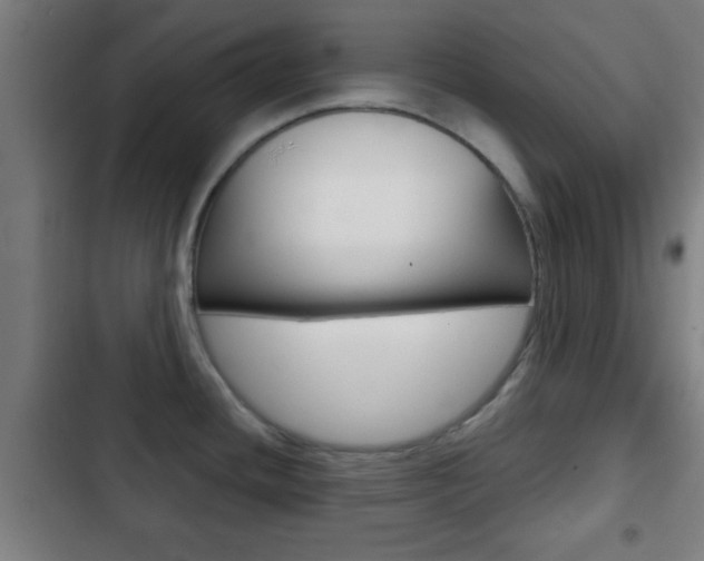 X0000103221436200808280916