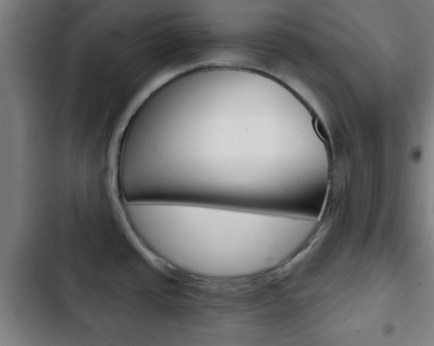 X0000103221437200808280916
