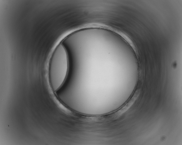X0000103221438200808280916