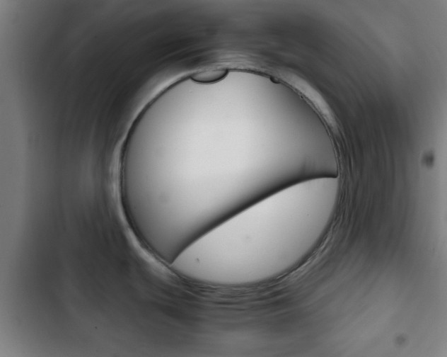 X0000103221439200808280916