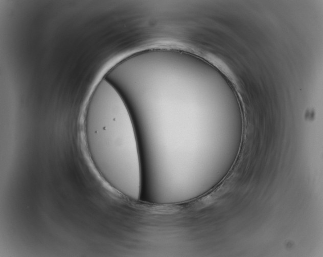 X0000103221440200808280916