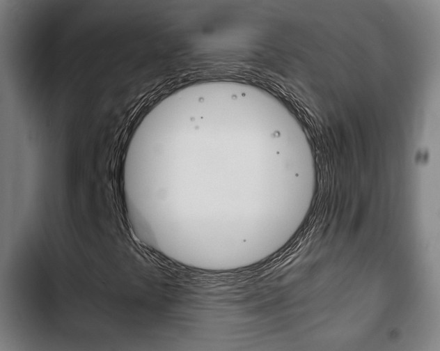 X0000103221441200808280915
