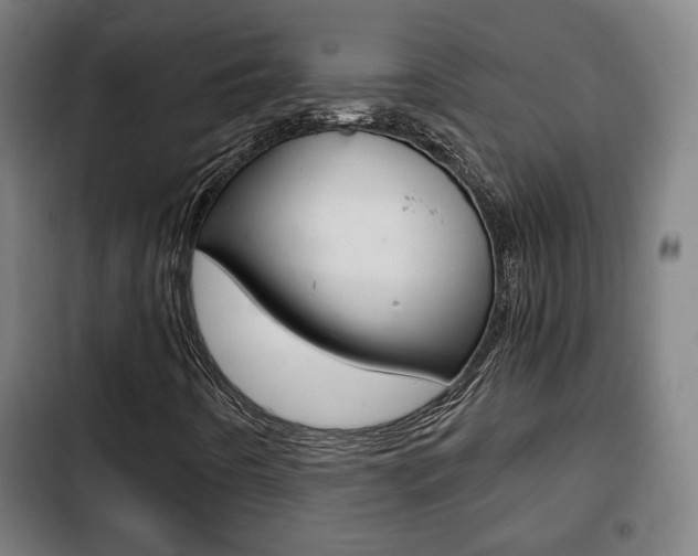 X0000103221442200808280915