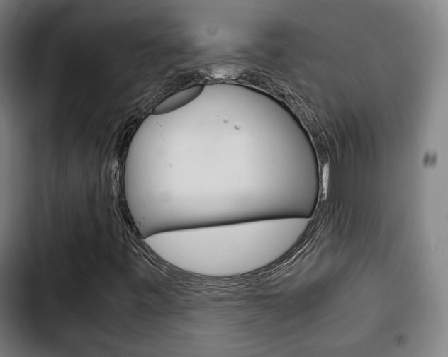 X0000103221443200808280915