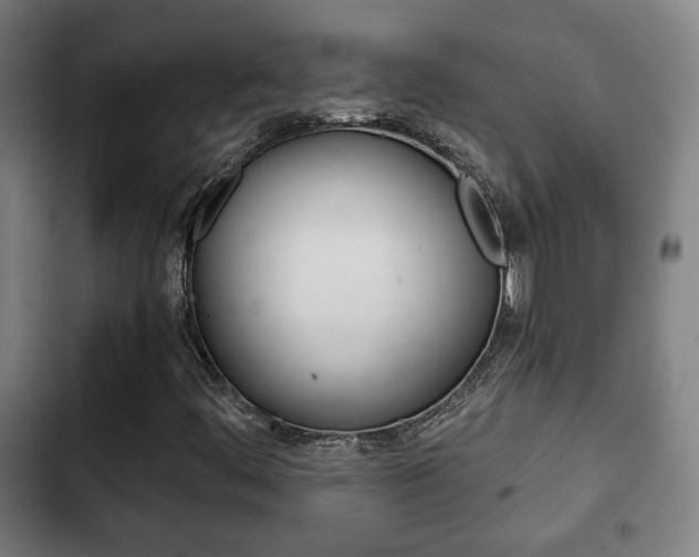 X0000103221444200808280915