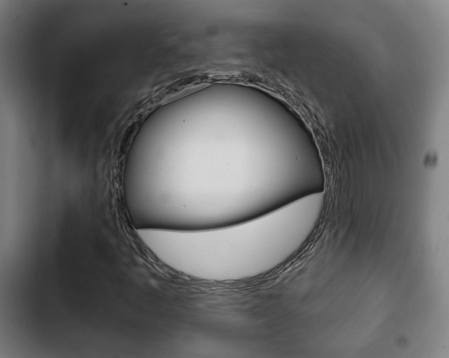 X0000103221445200808280915