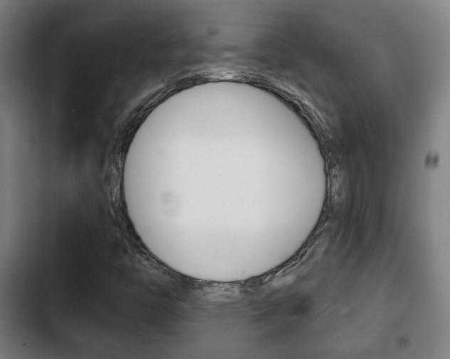 X0000103221446200808280915